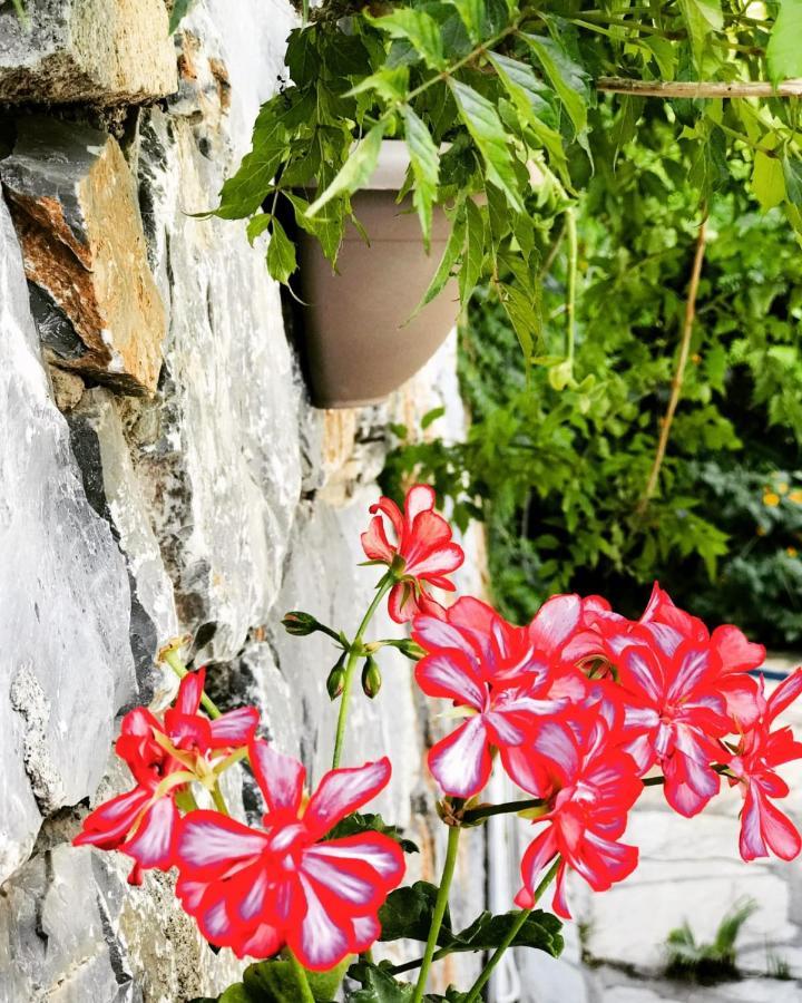 Nehir Dalyan Boutique Otel Ortaca  ภายนอก รูปภาพ